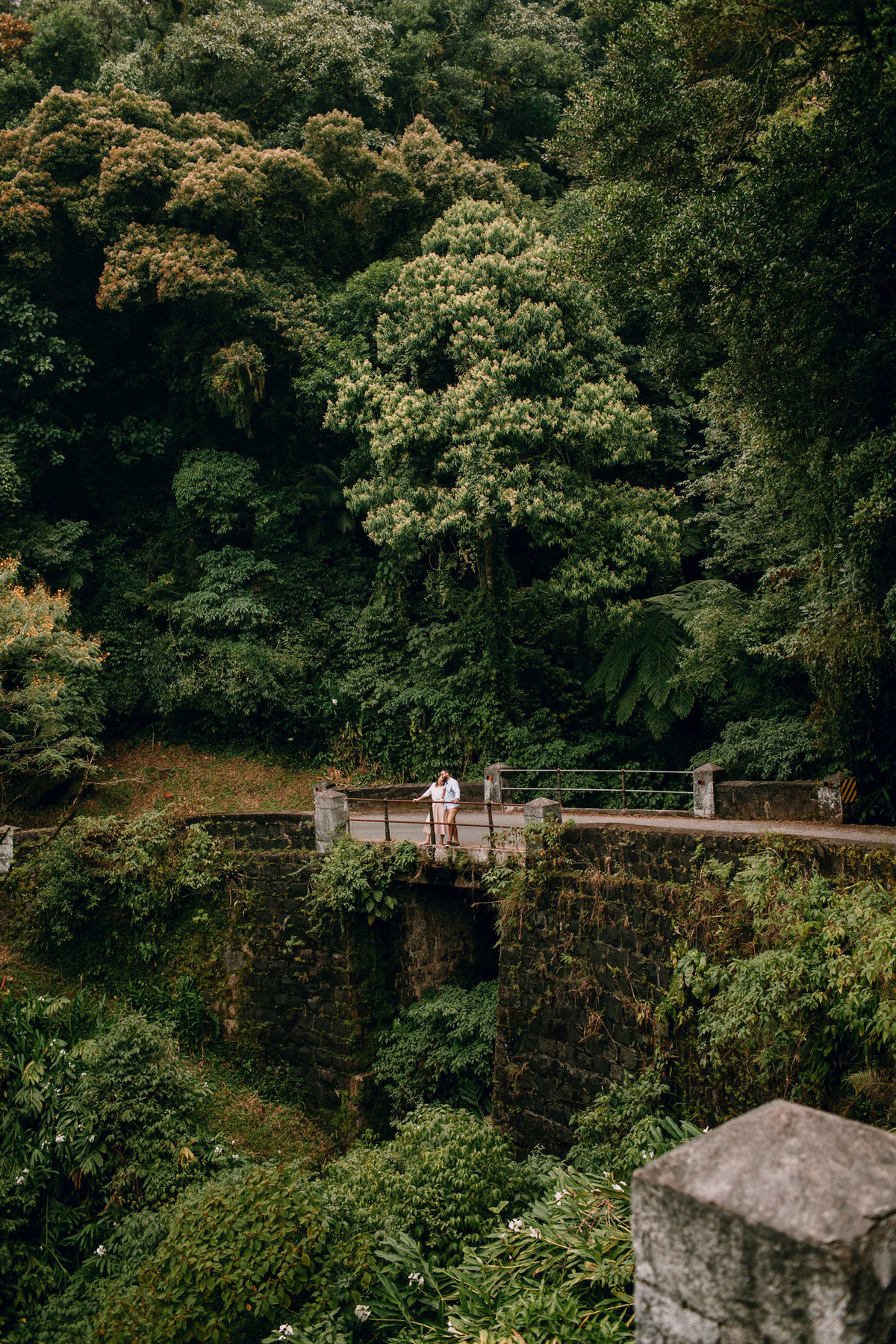 ensaio de casal fotografado na serra da graciosa perto de curitiba e do litoral do paraná. Pré Wedding, ensaio fotográfico externo