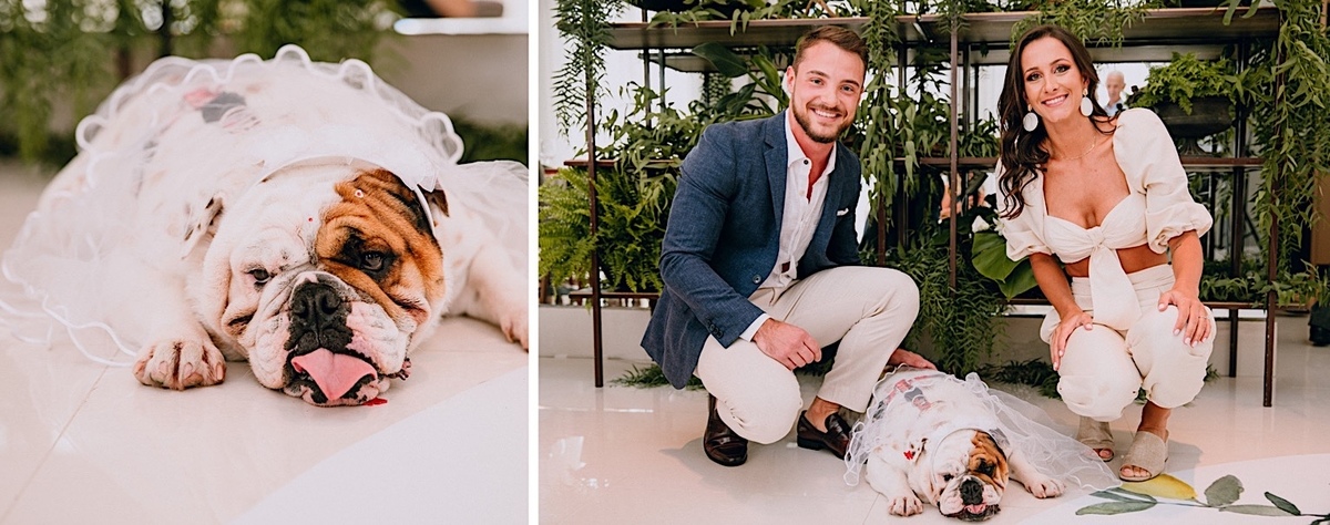 Festa de noivado nos mercês em Curitiba. Festa de noivado. Decoração temática de laranjas e limões para noivado. Cachorro participa da festa de noivado.