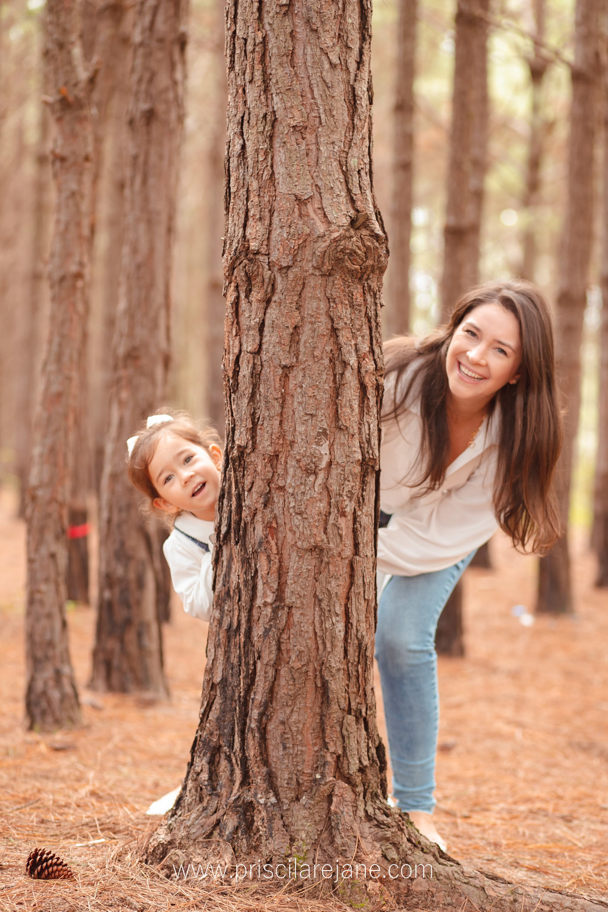 mae e filha, floresta de pinos, campeche, fotografa floripa