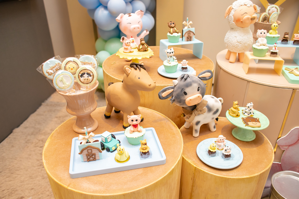 Decor duda ignacio, decoraçao fazendinha, festa na palhoça, fotografa palhoça, fotografa florianopolis