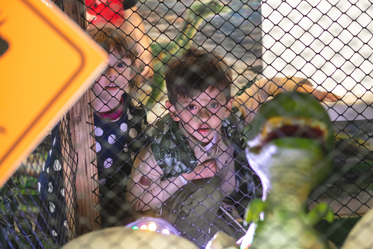 tema minecraft, fotografa de festa infantil florianopolis, fotografa florianopolis, fotografia infantil floripa, tema 5 anos, ateliê da festa, tema dinossauro