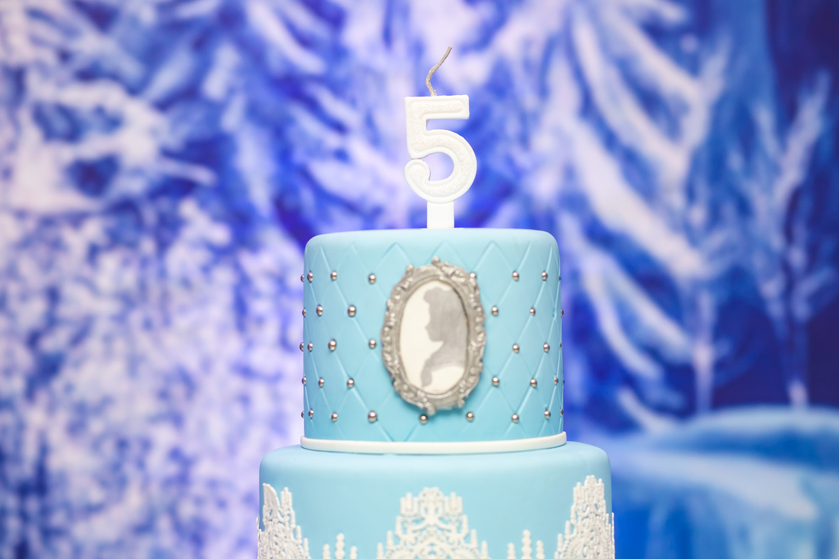 fotografa em festa infantil, festa infantil florianopolis, tema frozen, tema menina, tema 5 anos, personalizados frozen