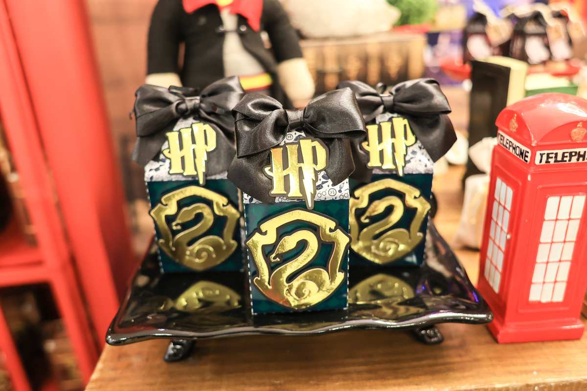  tema festa harry potter, brinca mundi florianopolis, casa de festas em florianopolis, fotografa de festa infantil, fotografa em floripa