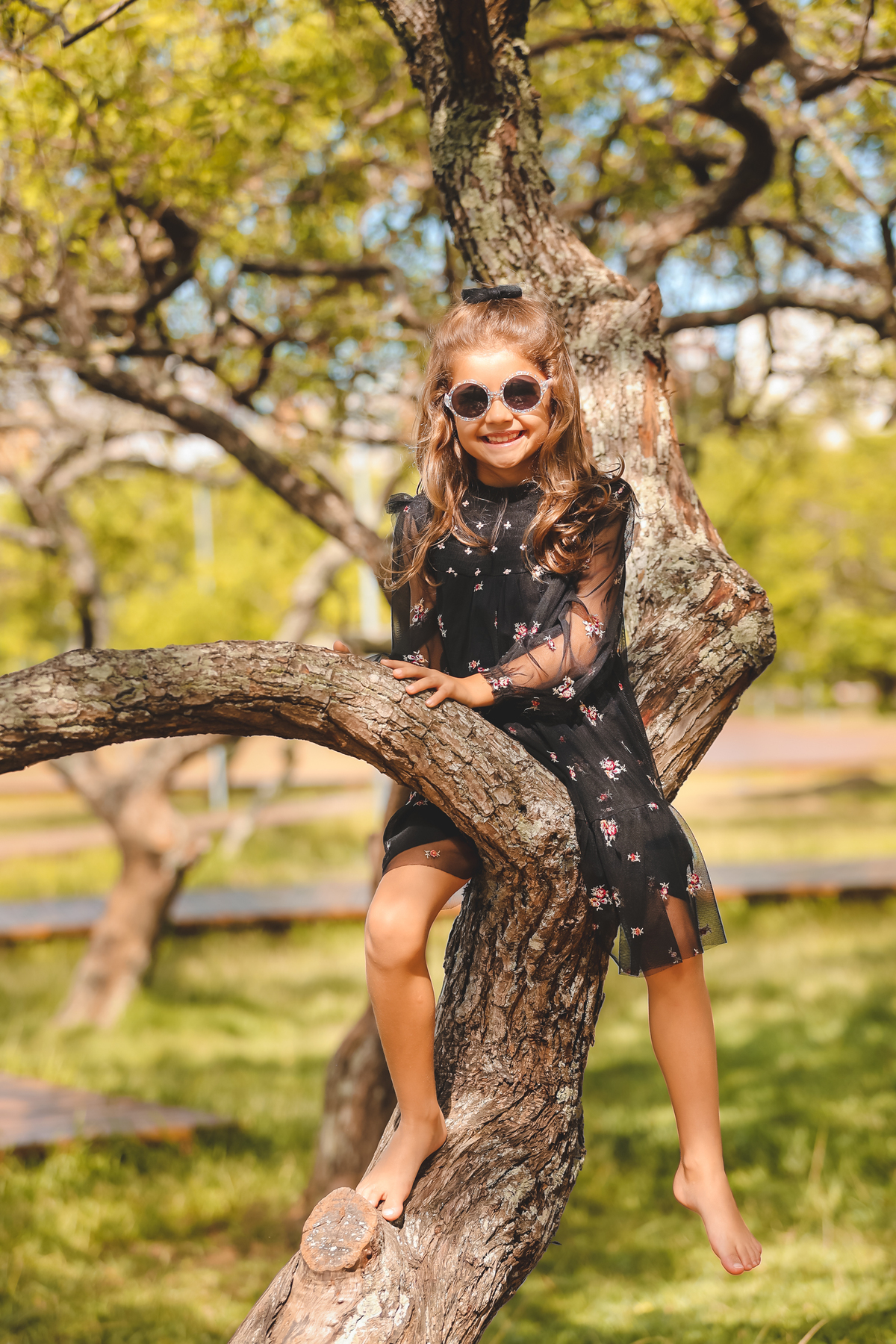 retrato de família, ensaio de família externo, fotos no parque, parque de coqueiros, fotos de família em florianópolis, fotografa floripa, criança na árvore