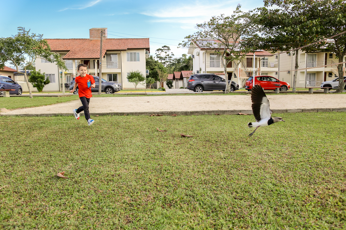 assesp campeche, festa infantil floripa