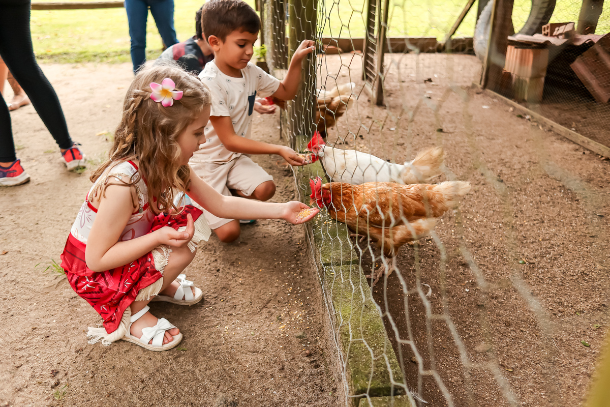 crianças dando comido para galinhas