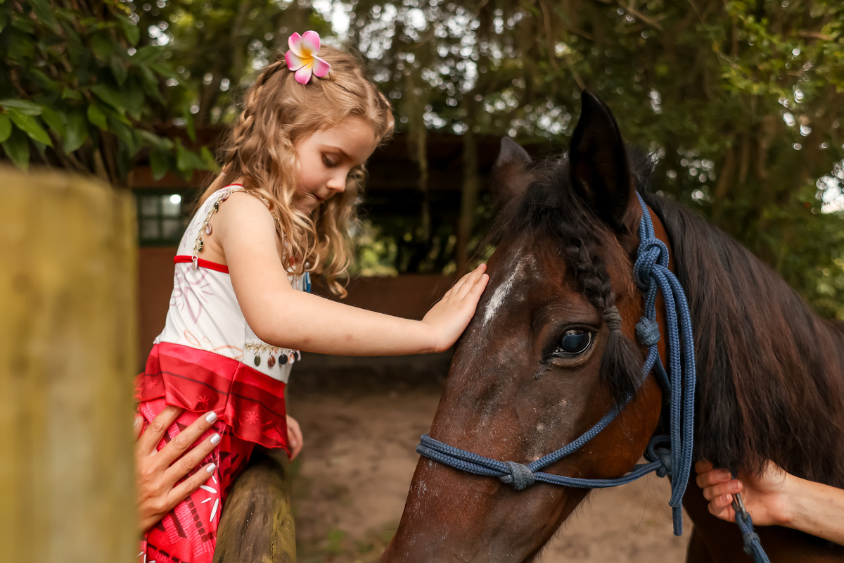 criança com cavalo, floripa