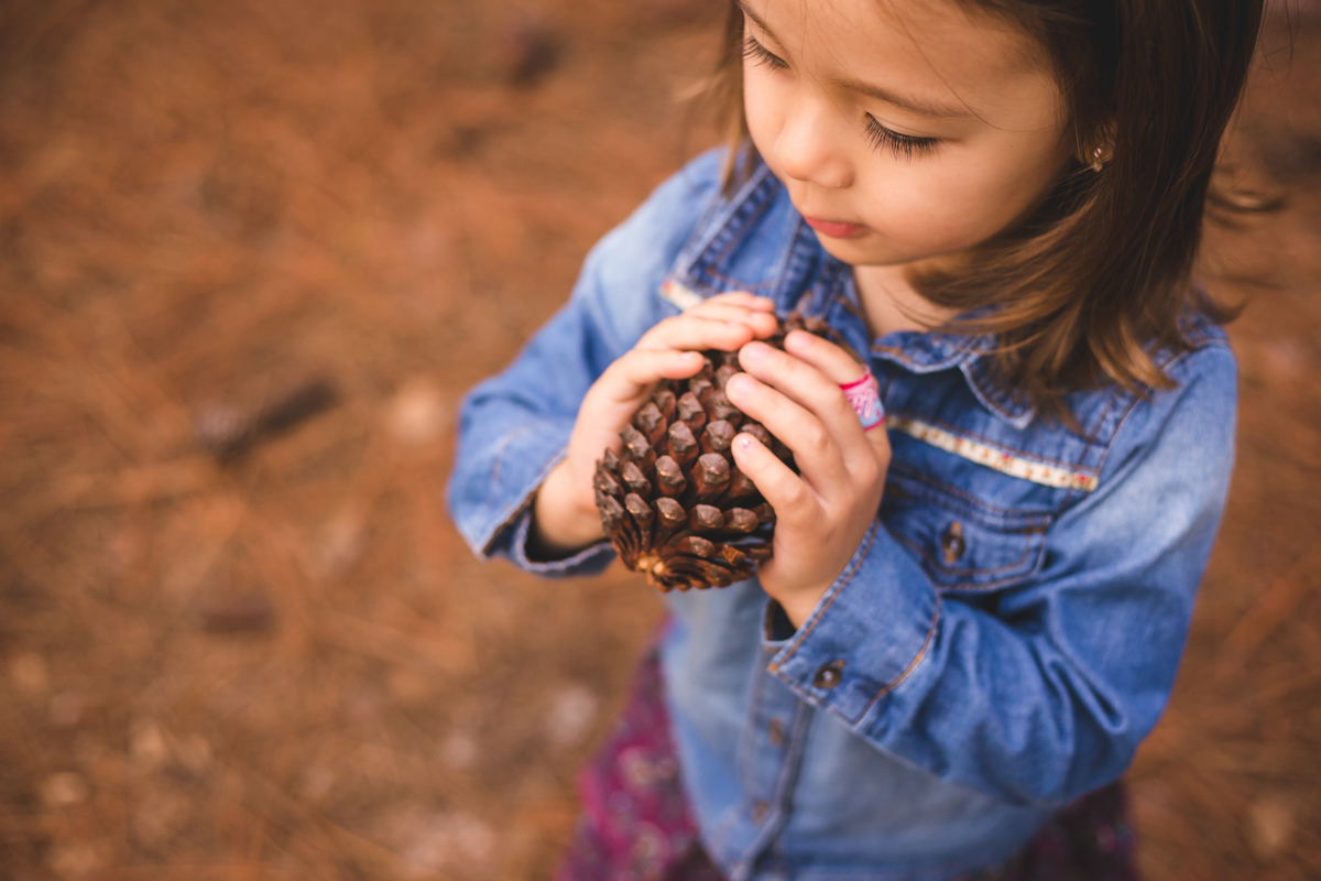 criança pegando pinha