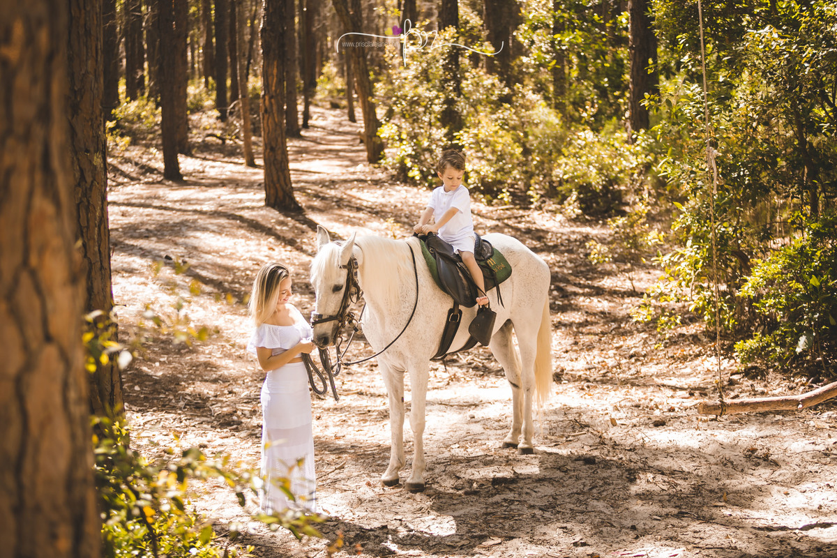 haras Ype, rio vermelho floripa, moçambique, fotos com cavalo