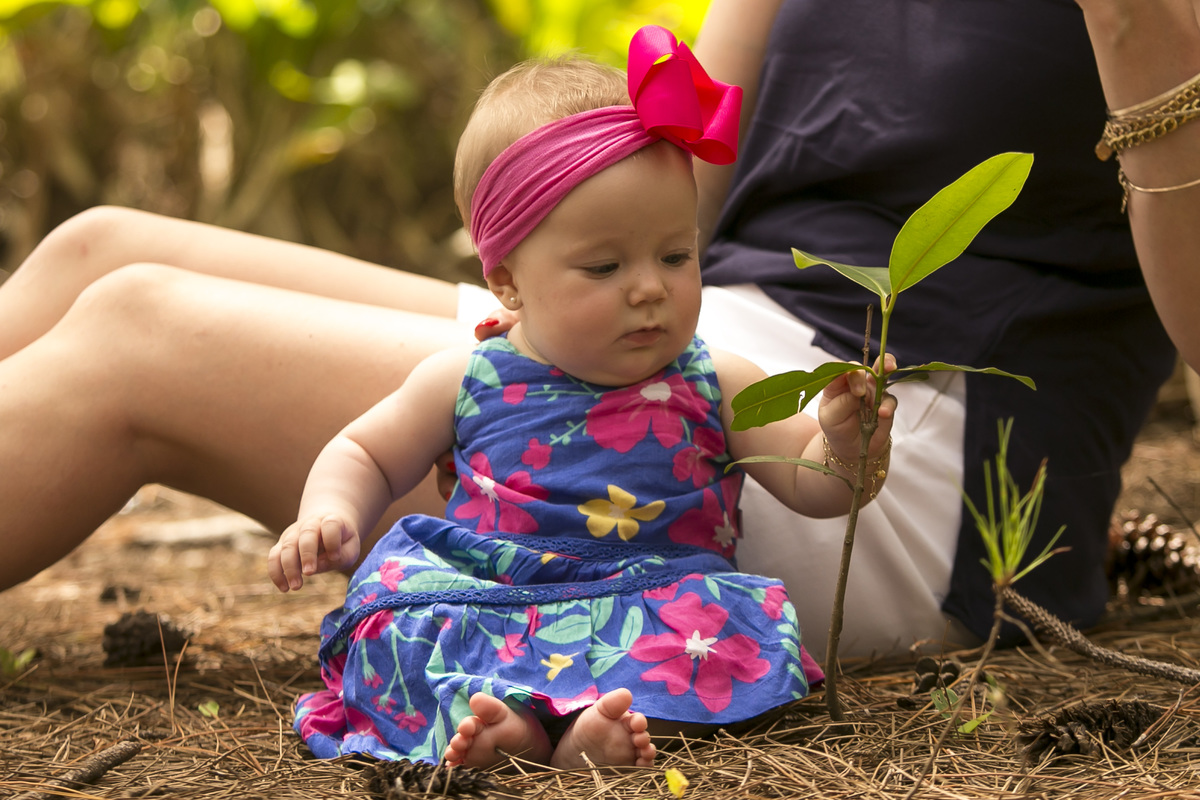 criança tocando na arvore