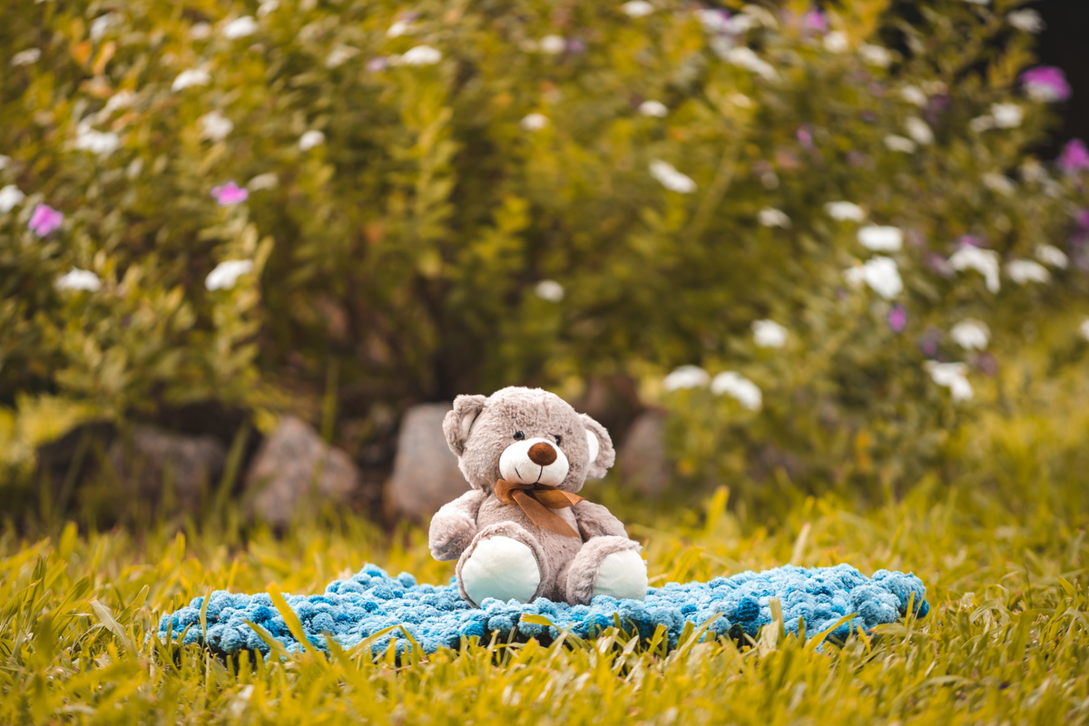 retrato de familia, fotos no parque de coqueiros, fotografa em florianopolis, fotografa no sul da ilha, sessão de fotos no parque de coqueiros, urso