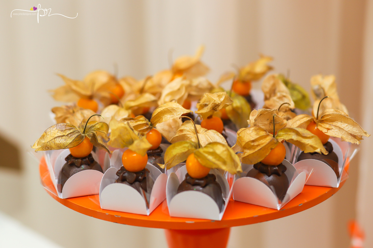 pontual festas, nice lembrancinhas, turma do barulho, fotografia infantil, festa infantil, fotografa floripa