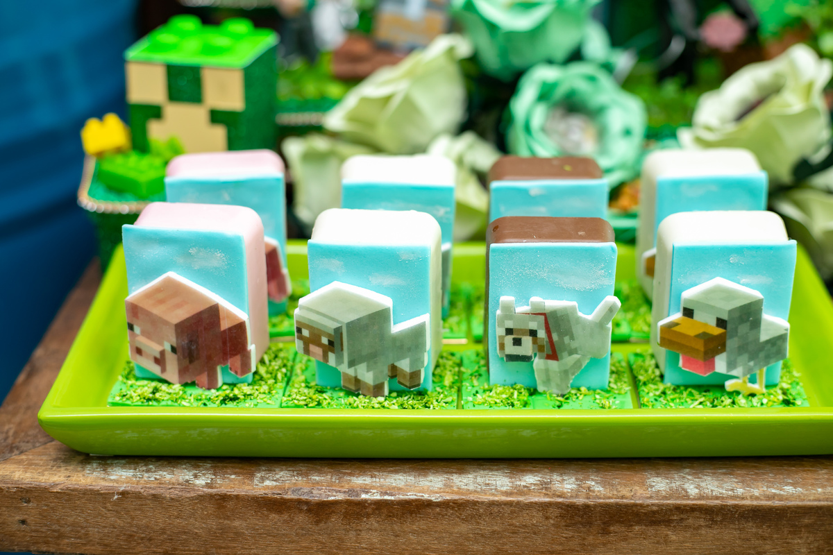 festa infantil em floripa, fotografa em floripa, casas de festas em floripa, tema minecraft, priscila rejane fotografa