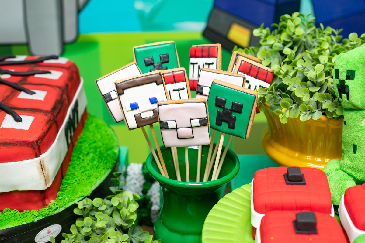 festa infantil em floripa, fotografa em floripa, casas de festas em floripa, tema minecraft, priscila rejane fotografa, festa de 6 anos