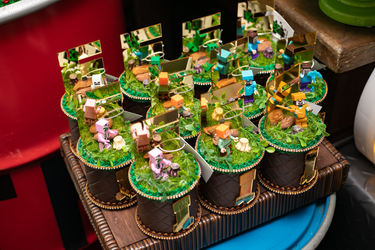 festa infantil em floripa, fotografa em floripa, casas de festas em floripa, tema minecraft, priscila rejane fotografa