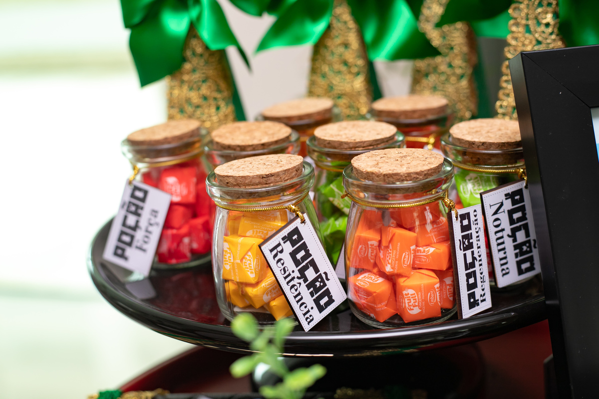 festa infantil em floripa, fotografa em floripa, casas de festas em floripa, tema minecraft, priscila rejane fotografa