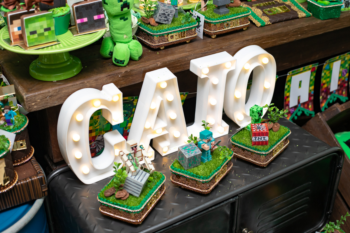 festa infantil em floripa, fotografa em floripa, casas de festas em floripa, tema minecraft, priscila rejane fotografa