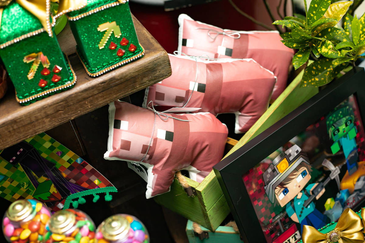 festa infantil em floripa, fotografa em floripa, casas de festas em floripa, tema minecraft, priscila rejane fotografa