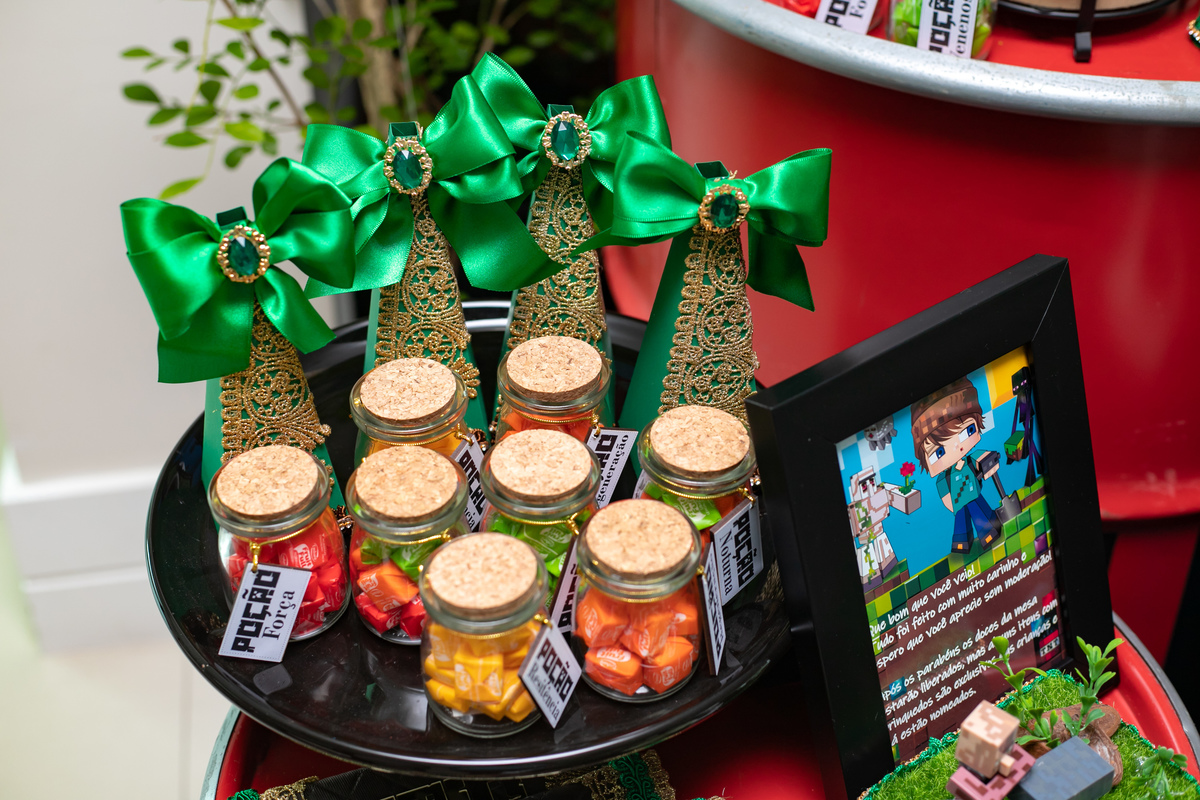 festa infantil em floripa, fotografa em floripa, casas de festas em floripa, tema minecraft, priscila rejane fotografa