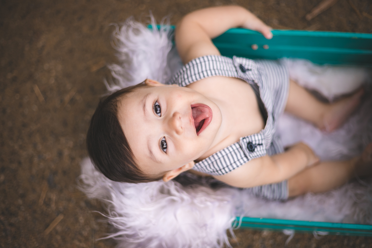 mini sessão, fotos de bebê, fotos de criança, ensaio infantil, fotografa floripa, fotos no horto florestal, horto florestal do corrego grande