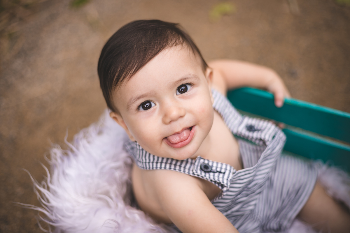 mini sessão, fotos de bebê, fotos de criança, ensaio infantil, fotografa floripa, fotos no horto florestal, horto florestal do corrego grande