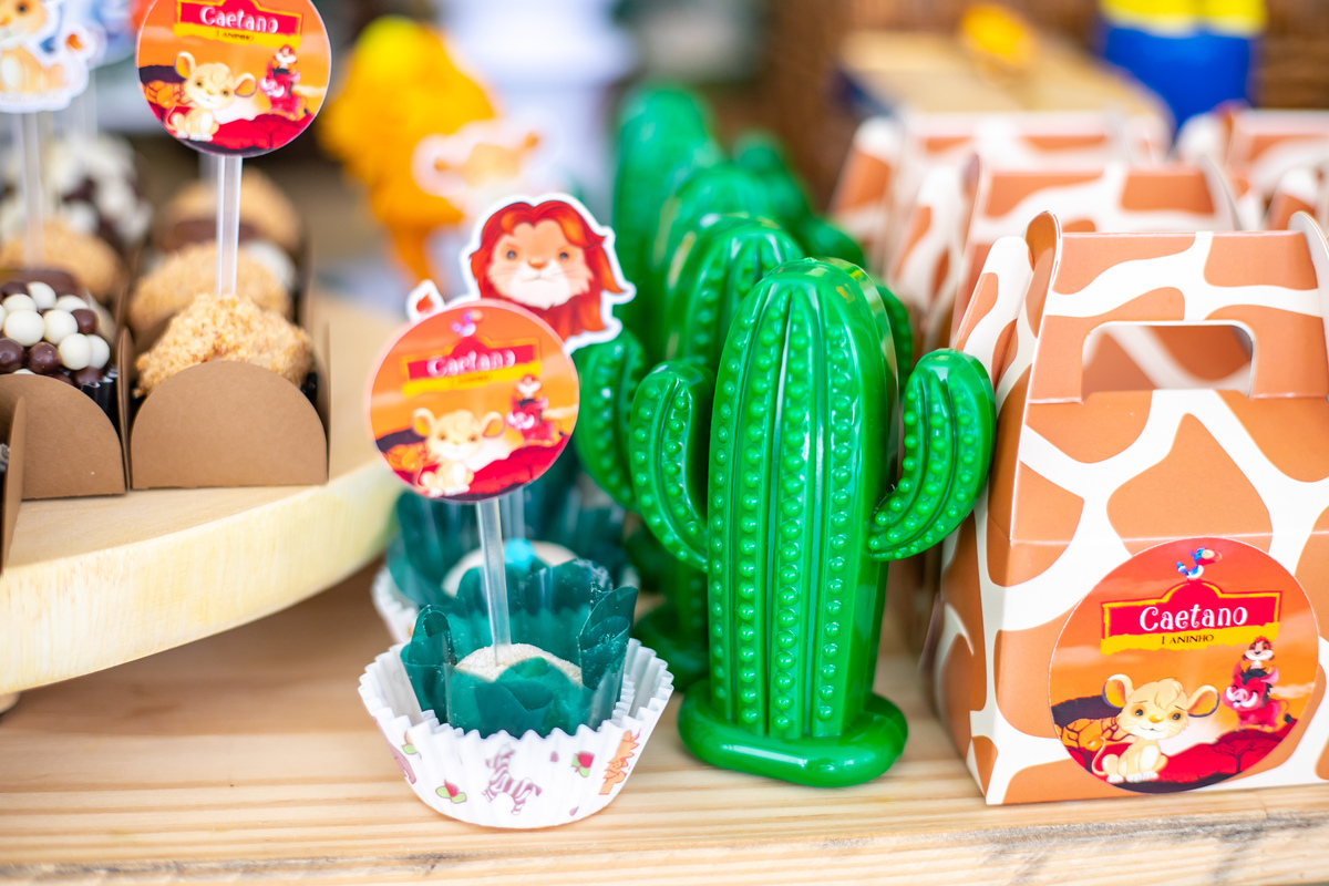 festa infantil , tema safari, hakuna matata, festa de 1 ano, festa florianopolis, fotografia infantil floripa, fotografa florianopolis, 