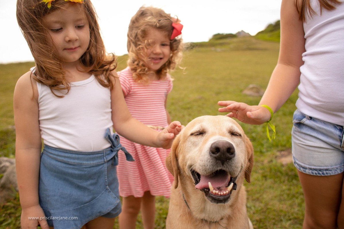retrato de familia, ensaio fotografico na armaçao, fotos na armacao, fotografia infantil floripa, fotografa sul da ilha, familia linda, fotos na praia, dog, dog fofo, cachorro com crianças
