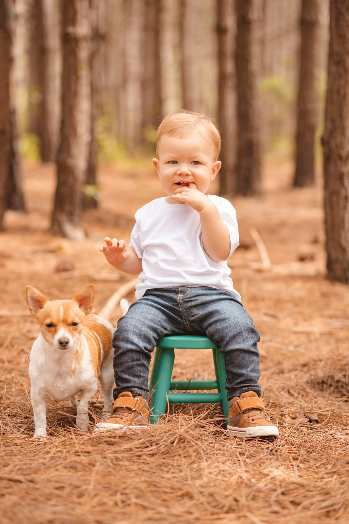 Ensaio de Família em florianopolis, melhor fotógrafa de floripa, fotografa sul da ilha, pacuca campeche, ensaio de família, fotografo em florianopolis, foto com dog, dog na foto