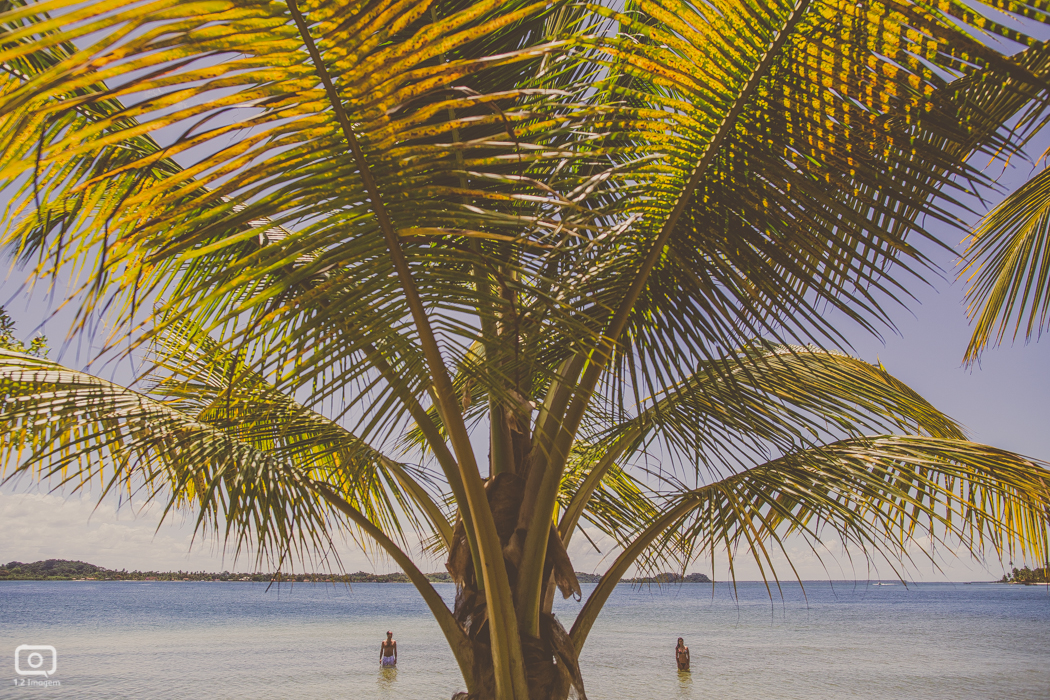 ensaio precasamento, ensaio prewedding, ensaio de casal, casamento na bahia, casamento em salvador, casamento na praia, umpontodoisimagem, fotografo de casamento na bahia, raoni libório