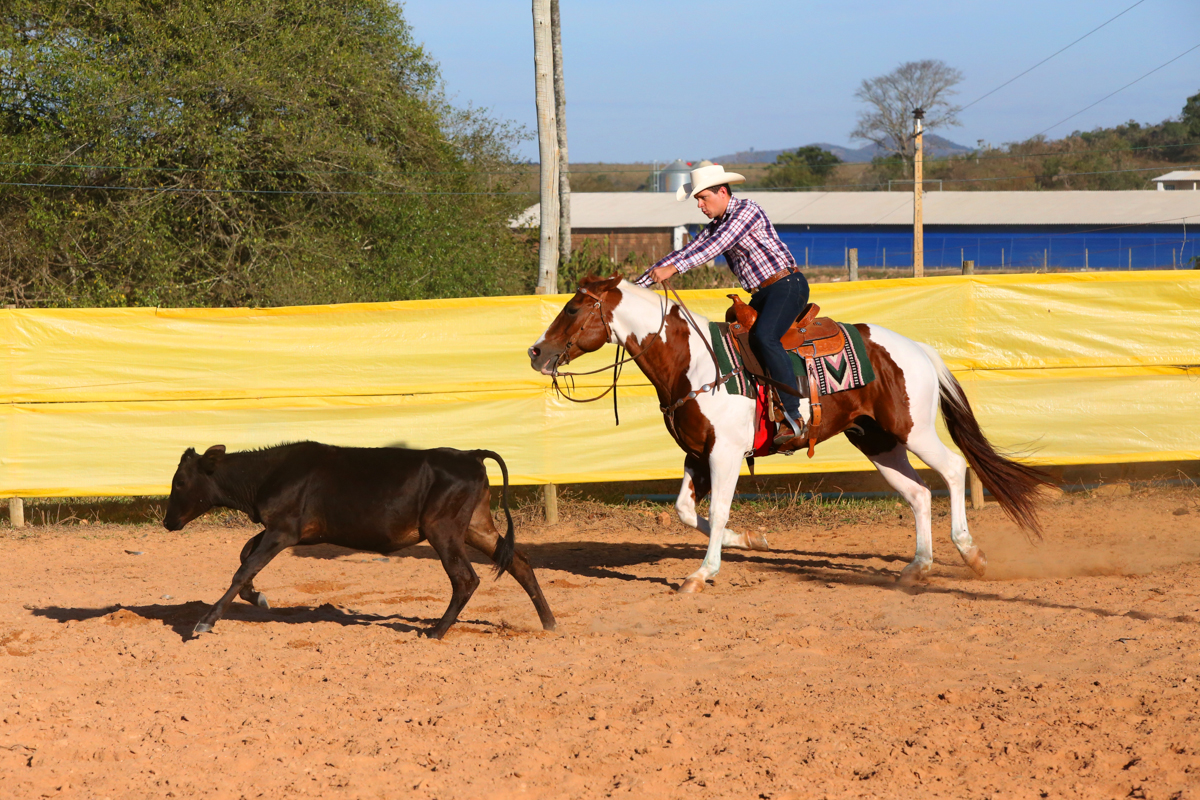 noiva, noivo, pre wedding, sessão, fazenda, cavalos, chapeu, amor, paixao, araxa, cerca, bone, sela, ricardo dias, studio s, foto