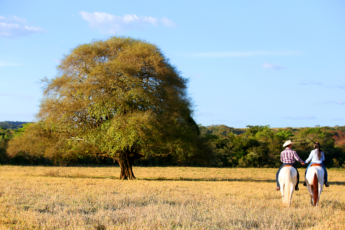 noiva, noivo, pre wedding, sessão, fazenda, cavalos, chapeu, amor, paixao, araxa, cerca, bone, sela, ricardo dias, studio s, foto