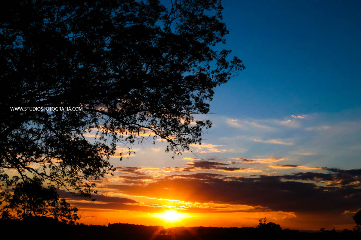 Studio S Fotografia, Studio S Uberlândia, Studio S Araxá, Ricardo Dias, Ricardo Studio S, Uberlândia, Araxá, casamento, fotografo de casamento, casal, pré wedding, noiva, noivo, aliança, vestido, vestido de noiva, s
