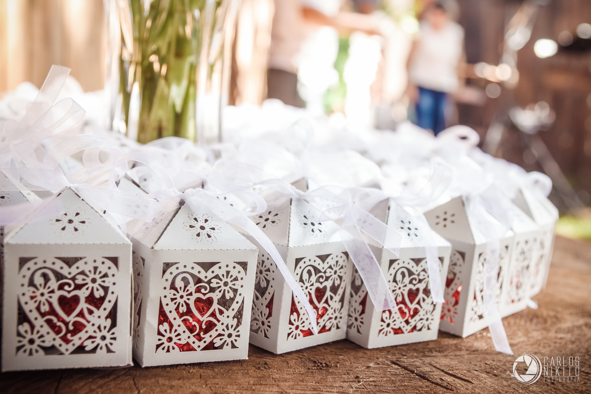 Casamento Laísa e Vinicius realizado em Itumbiara Goias fotografado por Carlos Nikito