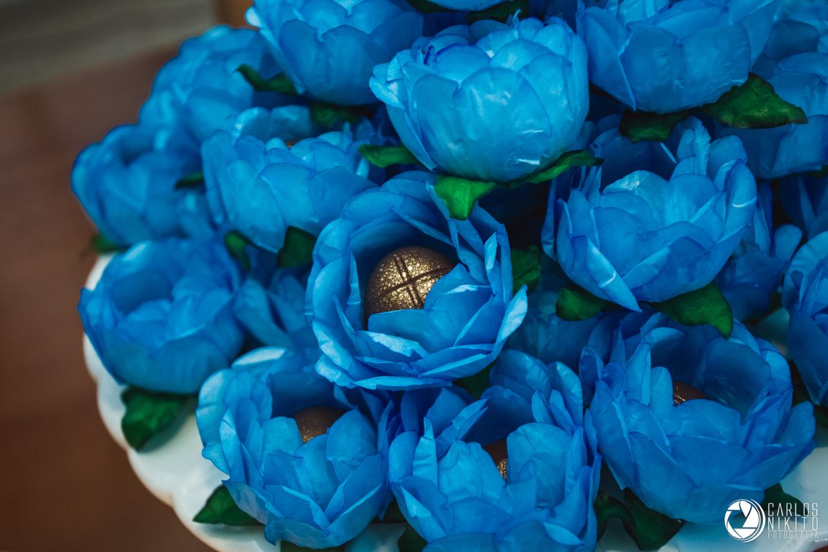 Aniversário da Nara Porcino de 15 anos, realizado em Goiânia Goiás no salão de festas Acrópolis fotografado por Carlos Nikito.