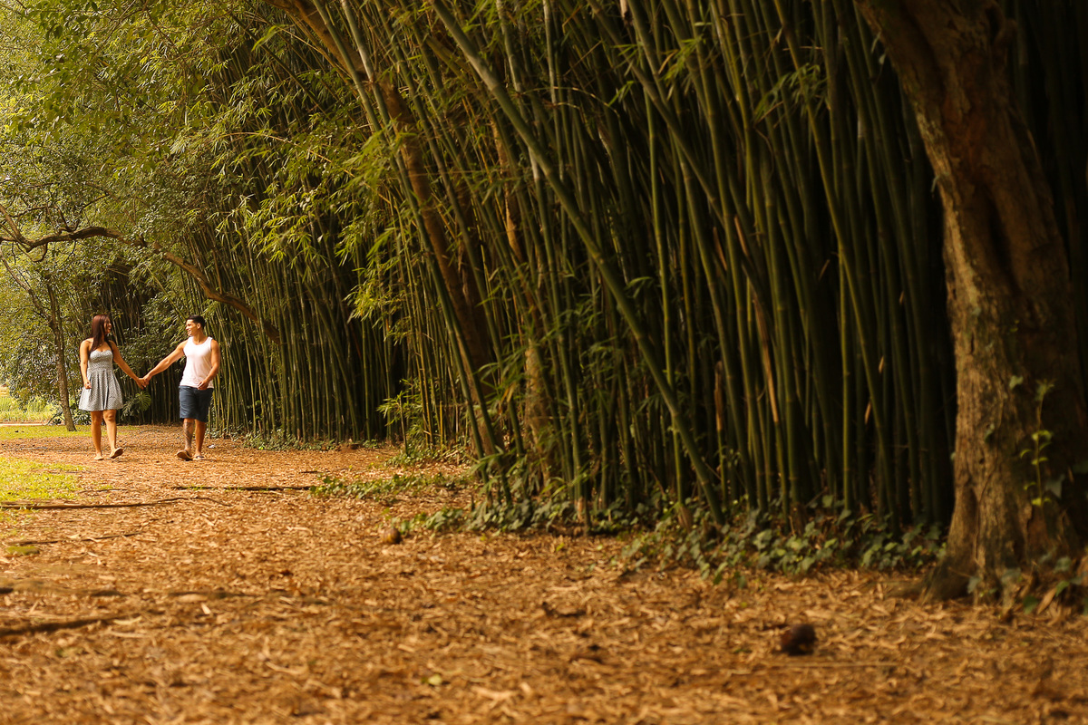 ensaio-pré-casamento-parque-ibirapuera-ensaio-de-casal-parque-ibirapuera