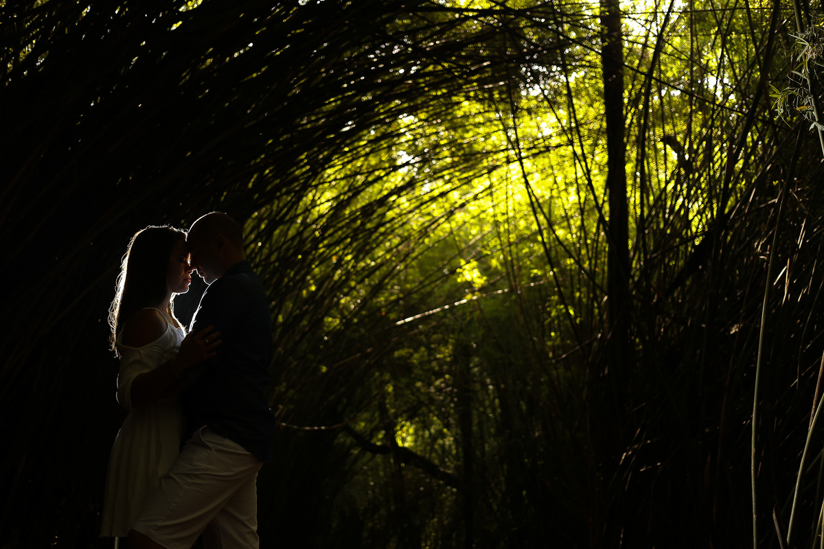 ensaio-pré-casamento-luciane-e-osvaldo-ensaio-pré-casamento-jardim-botânico/sp