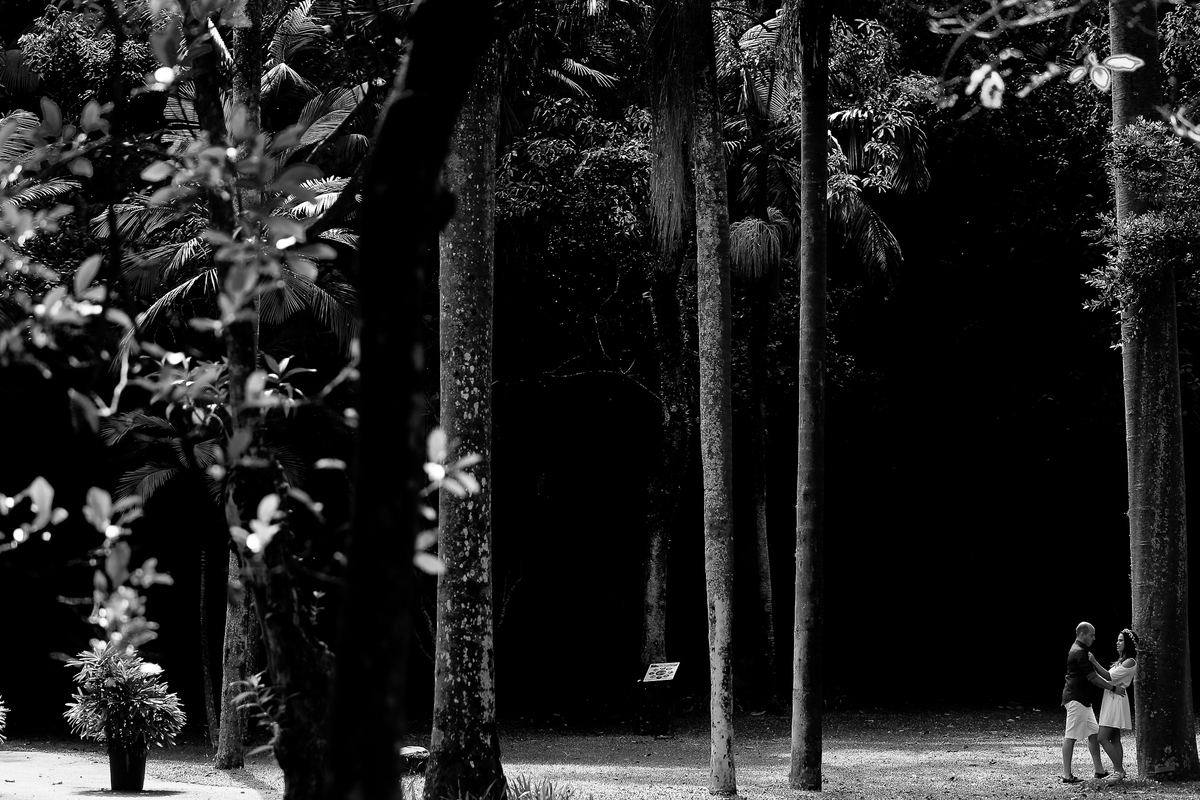 ensaio-pré-casamento-luciane-e-osvaldo-ensaio-pré-casamento-jardim-botânico/sp