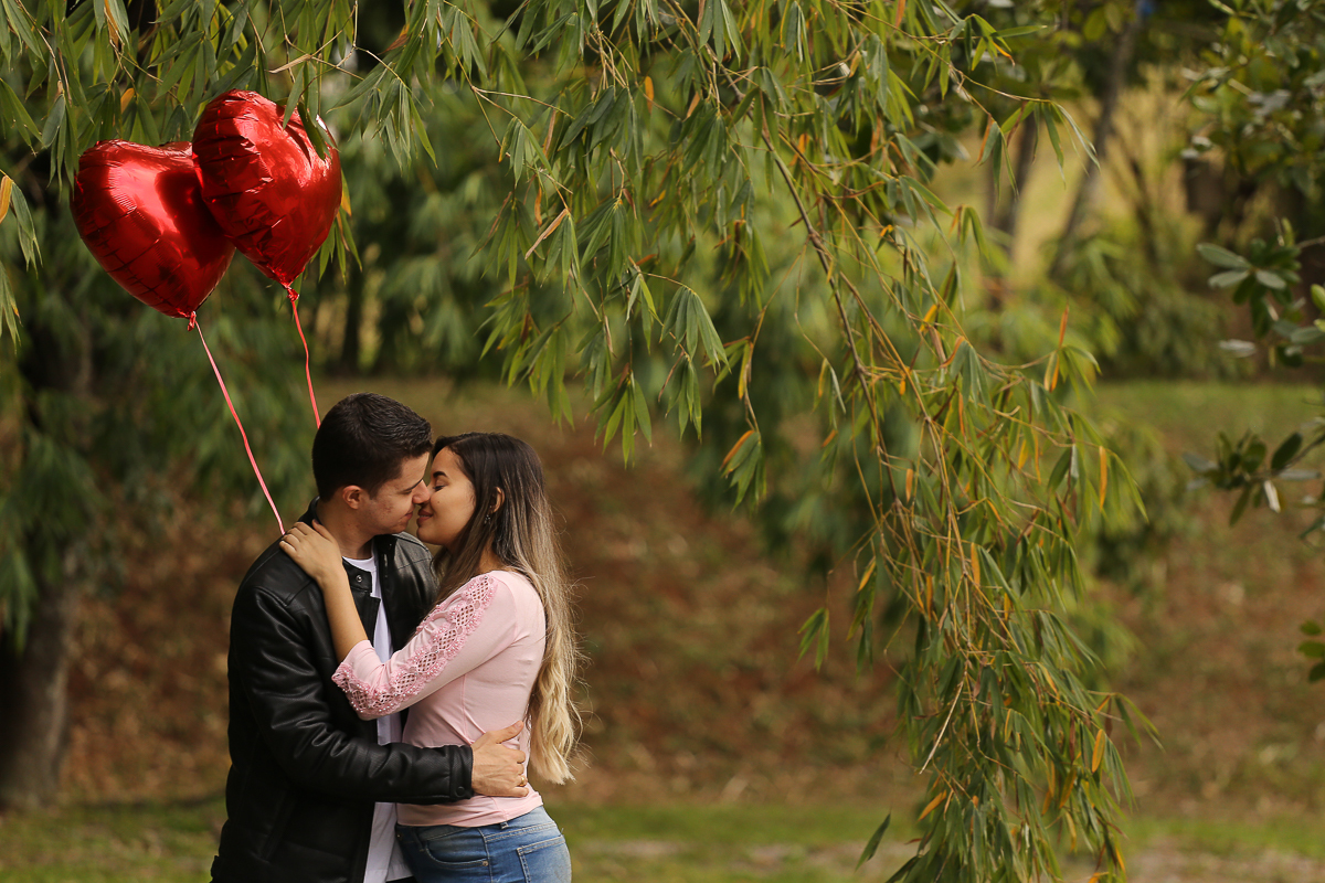 ensaio-pré-casamento-jardim-botânico-ensaio-pré-casamento-estela-e-caio-jardim-botânico