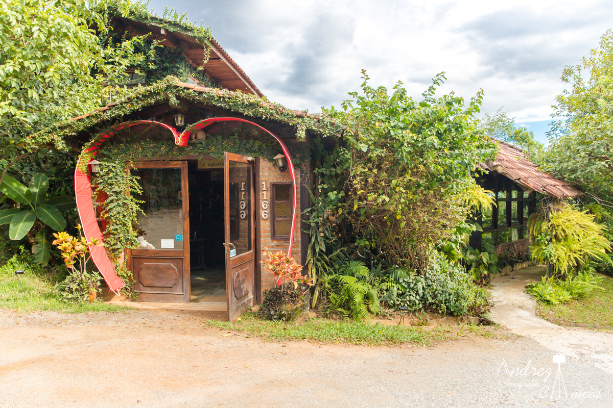 casamento joao de barro