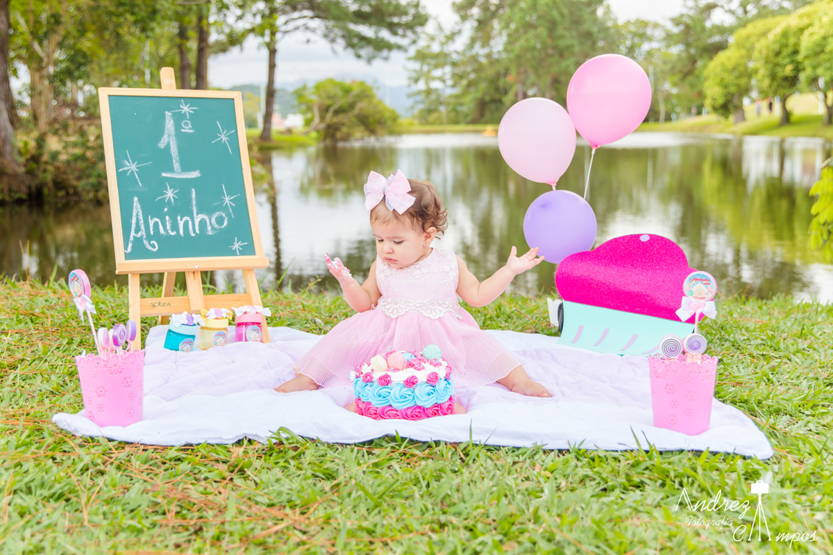 ensaio smash the cake