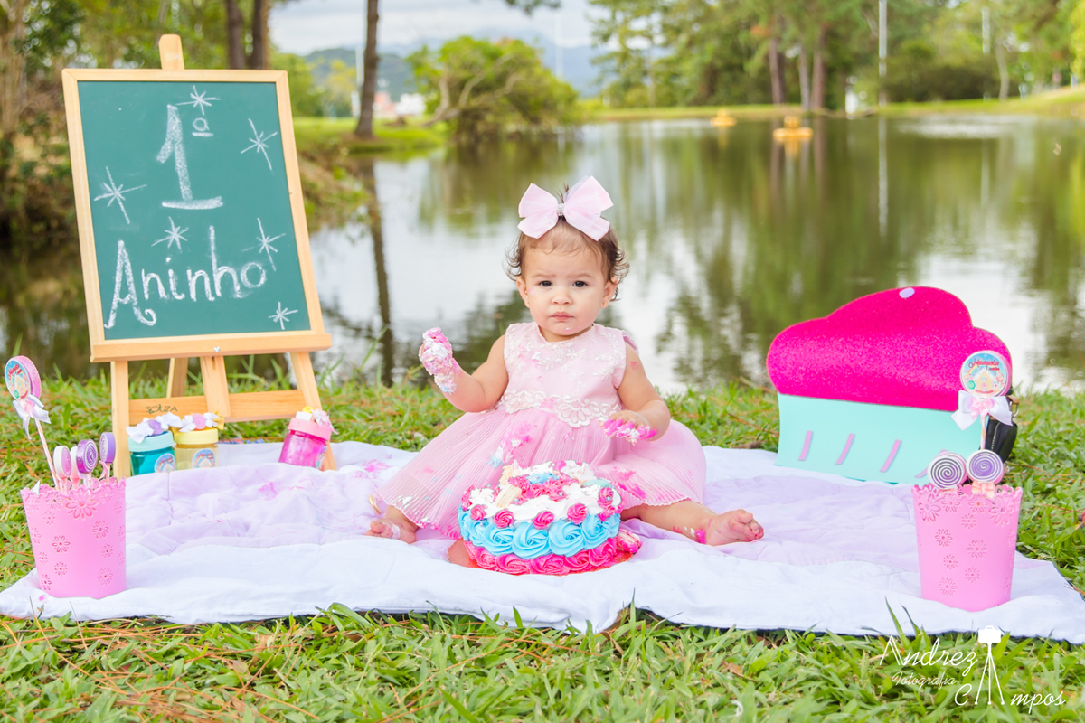 decoracao smash the cake