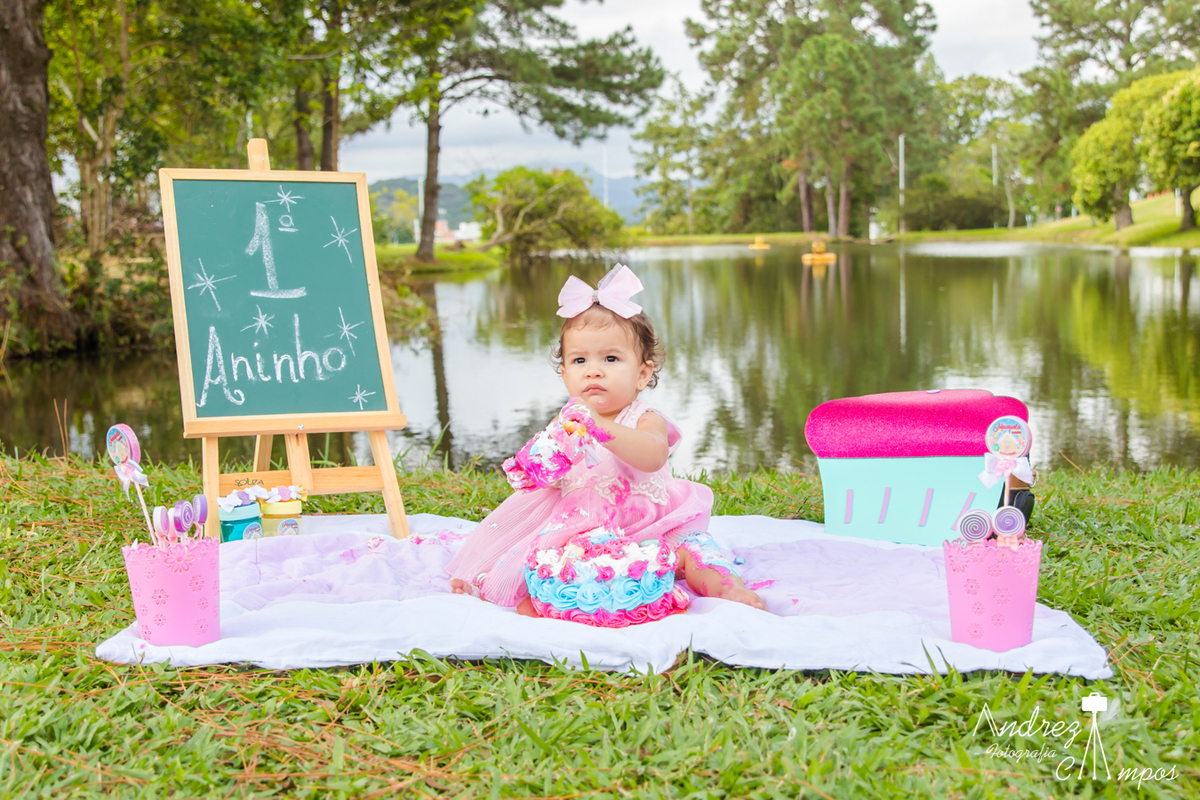 decoracao smash the cake