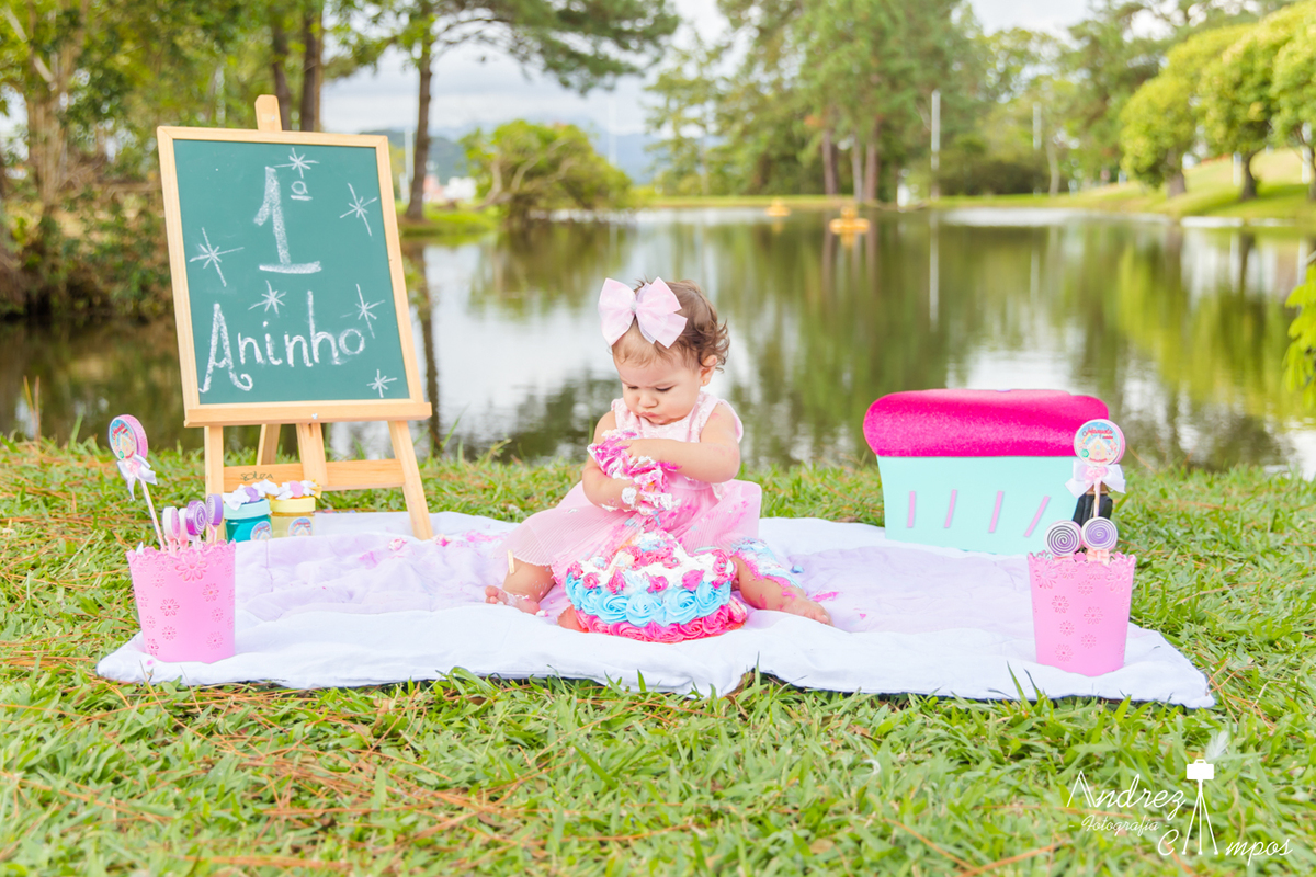 decoracao smash the cake