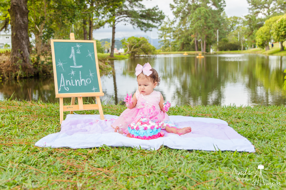 decoracao smash the cake menina