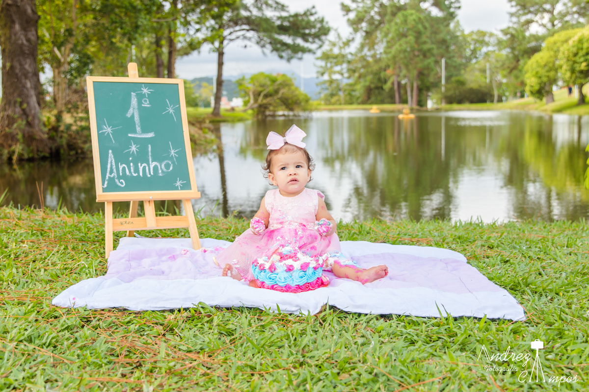 decoracao smash the cake menina