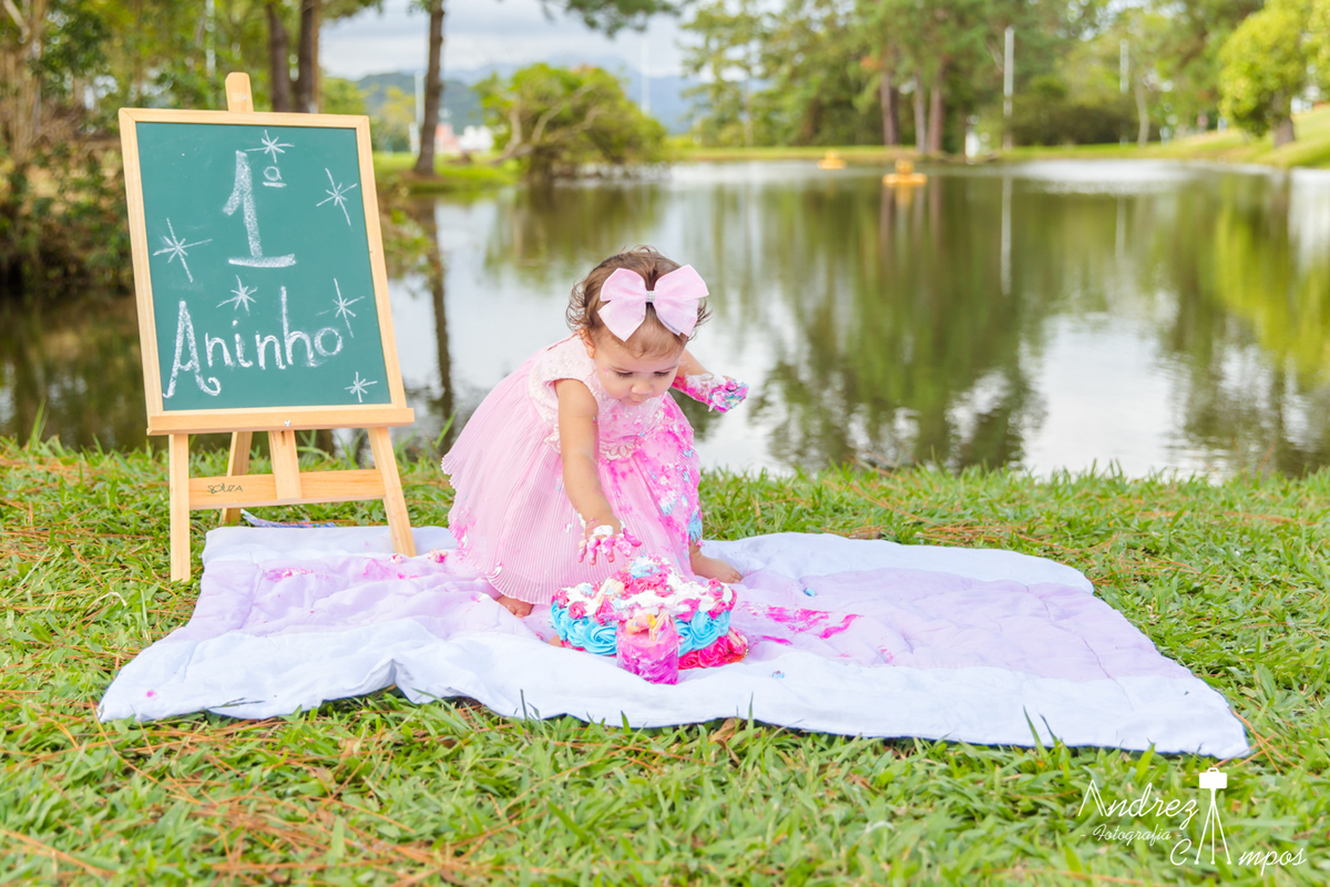 decoracao smash the cake menina