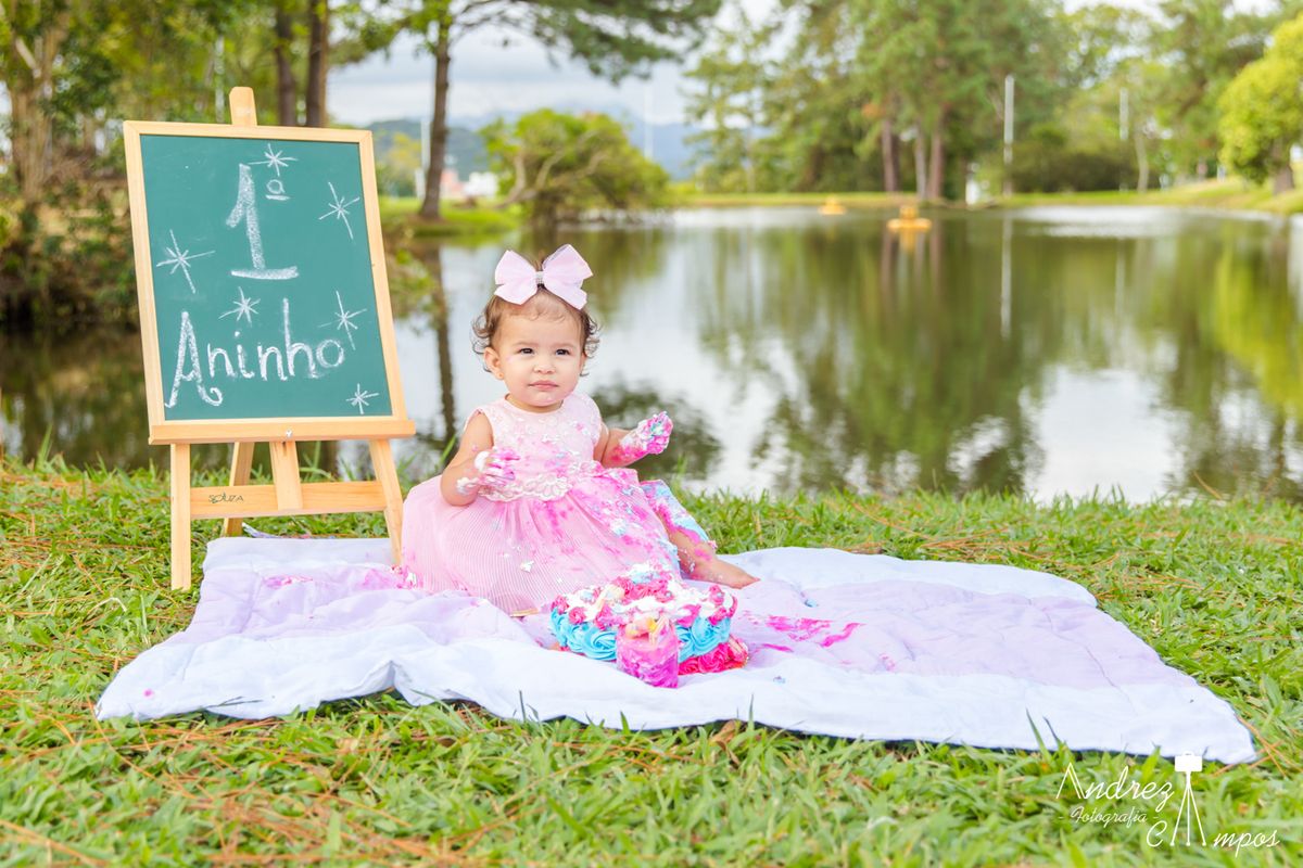 decoracao smash the cake menina