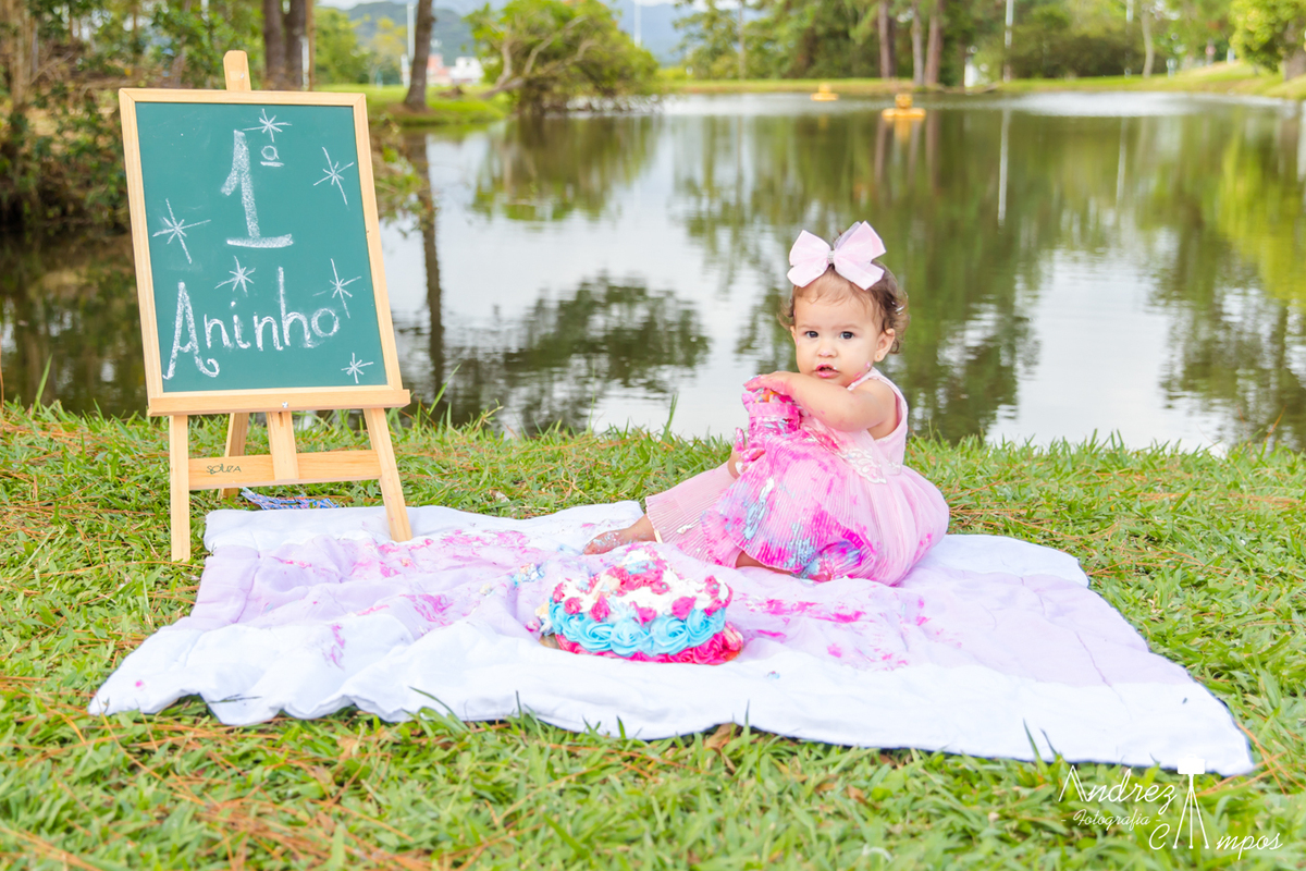 ensaio smash the cake