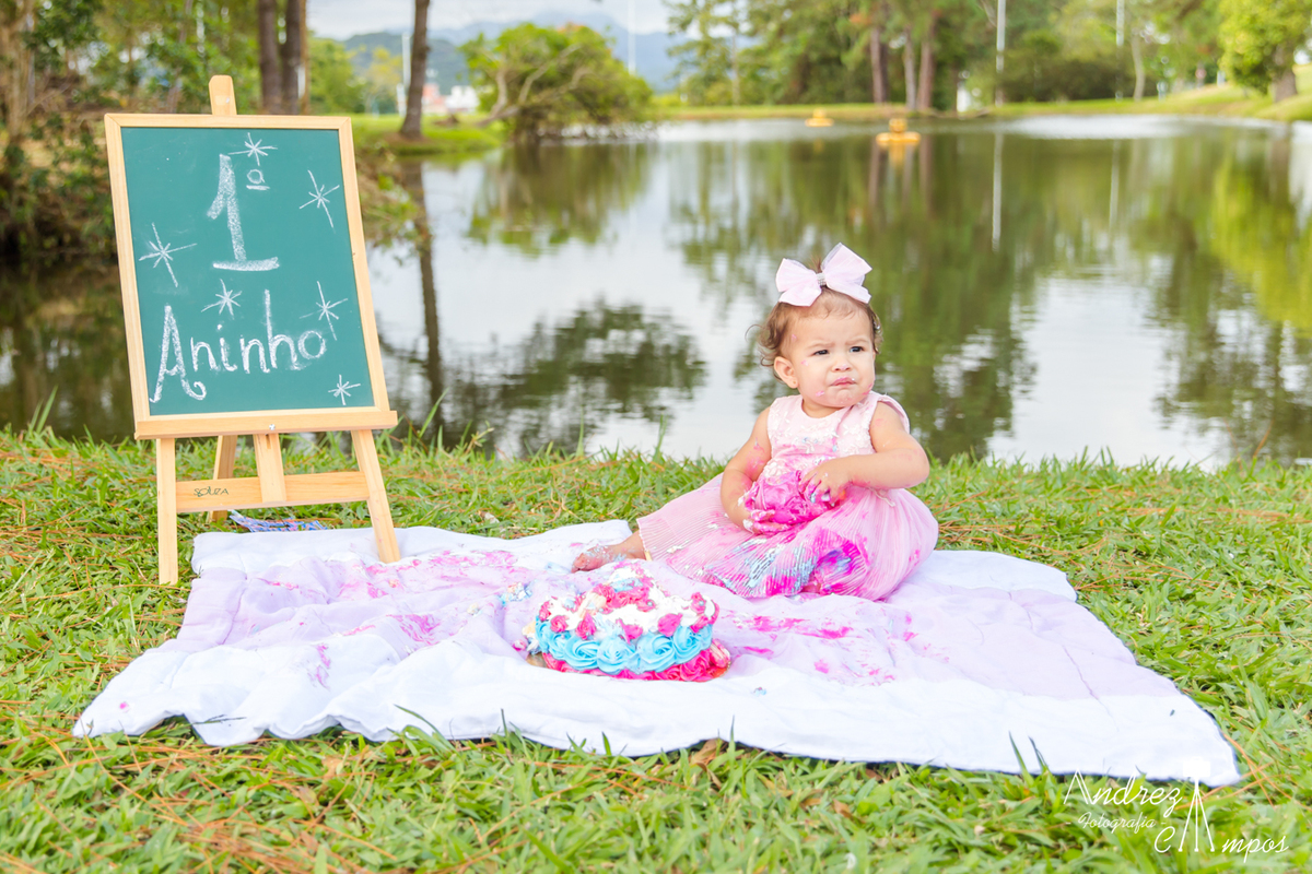 ensaio smash the cake