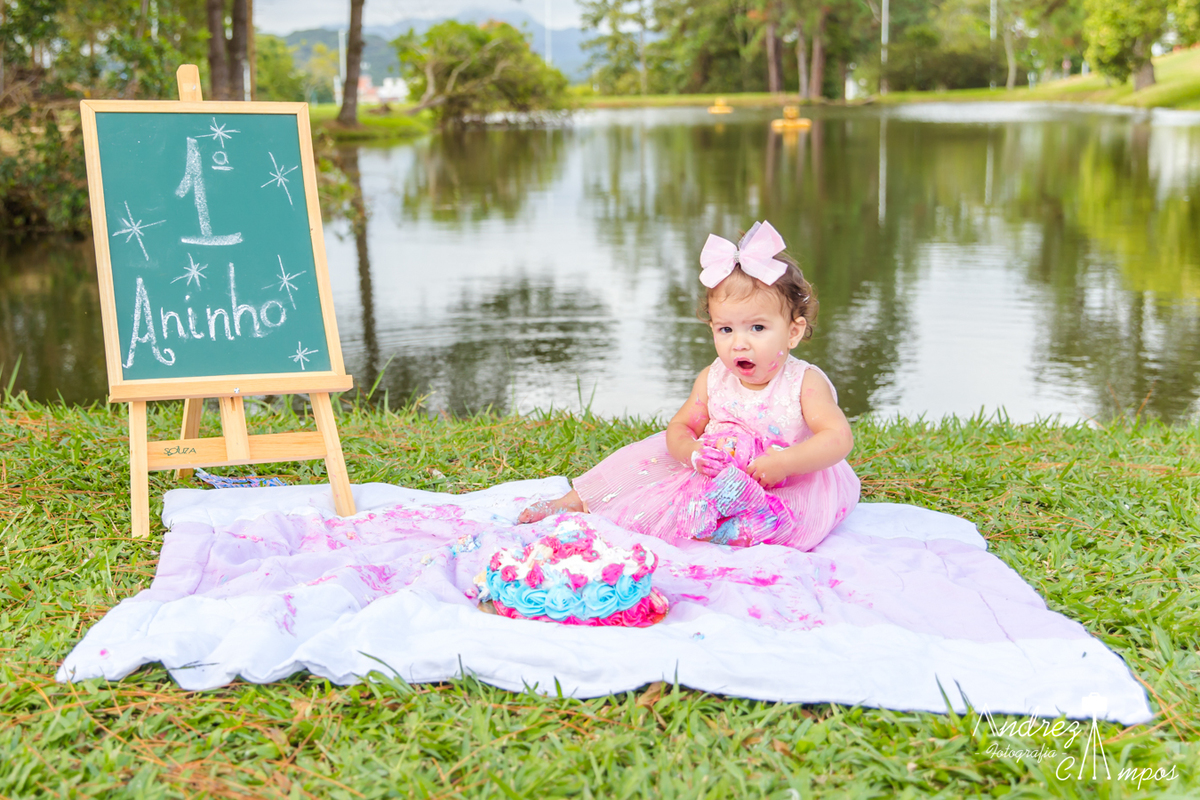 ensaio smash the cake